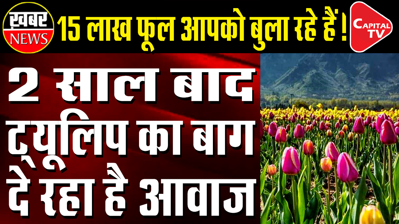 Srinagar’s Famous Tulip Garden Is Now Open To Public